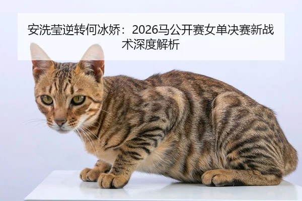 an-xi-ying-ni-zhuan-he-bing-jiao-ma-gong-kai-sai-nv-dan-jue-sai-xin-zhan-shu-shen-du-jie-xi-2-942.jpg